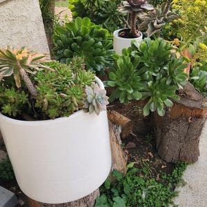 Meet your Posher, Dianna